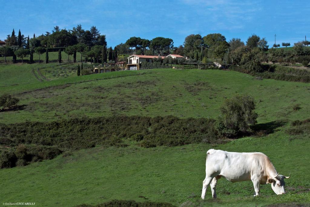 Agriturismo Valle Siriaca Castelnuovo Di Porto Exterior photo